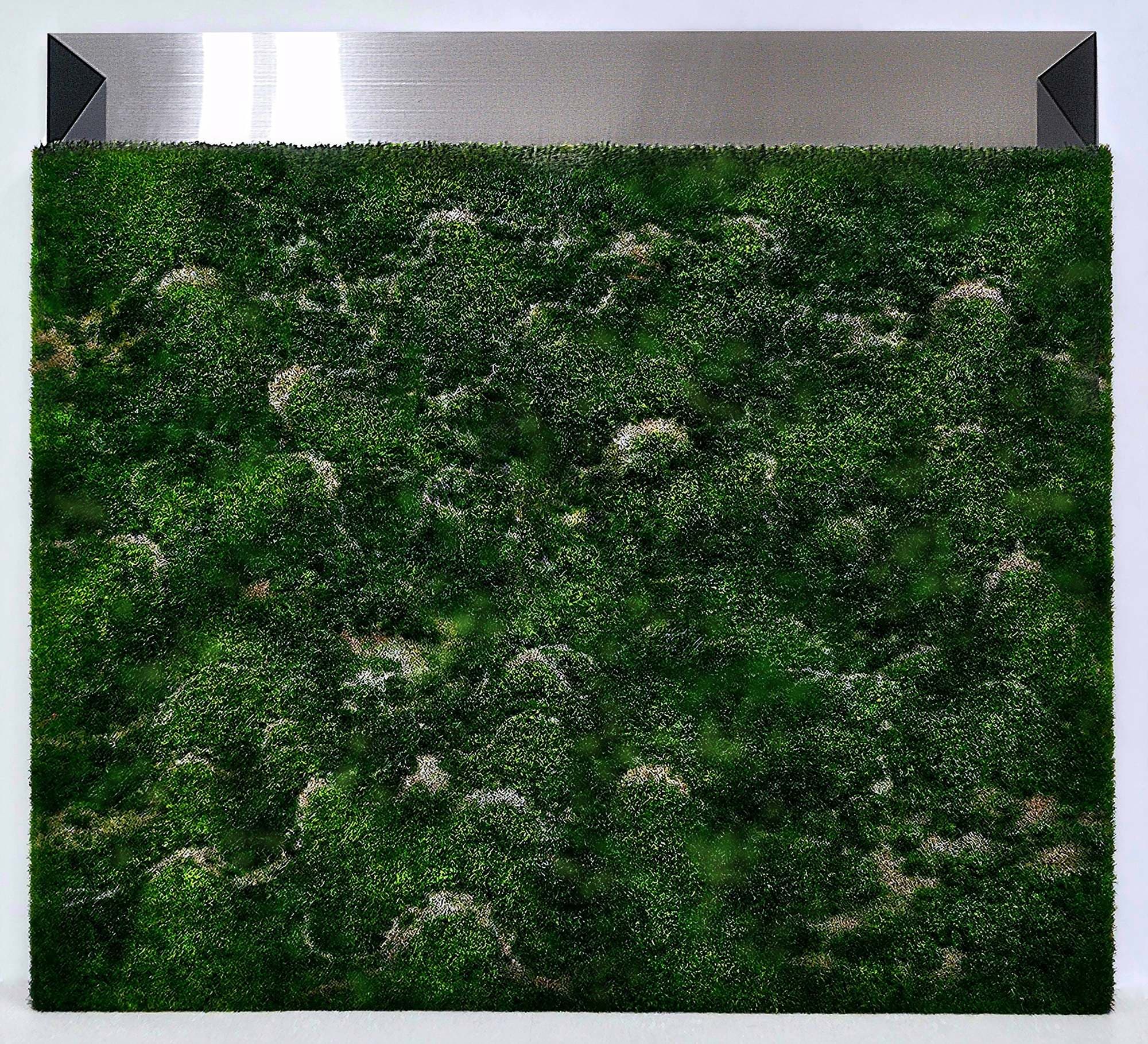 갤러리 나우 〈소리 없는 노래〉 - 이미지 4