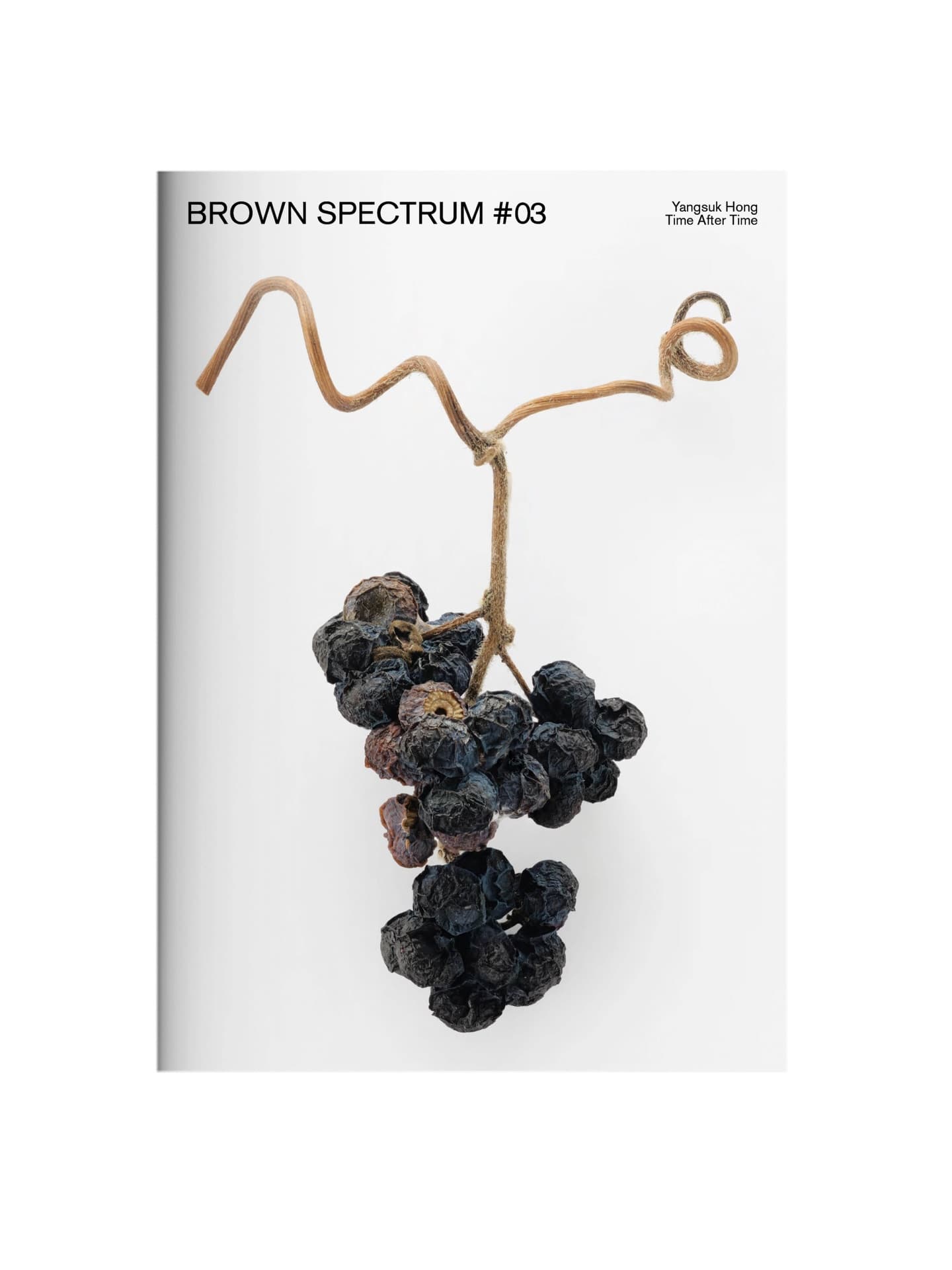 엄버 포스트파스트 BROWN SPECTRUM #03 〈반복의 시간: TIME AFTER TIME〉 - 이미지 1
