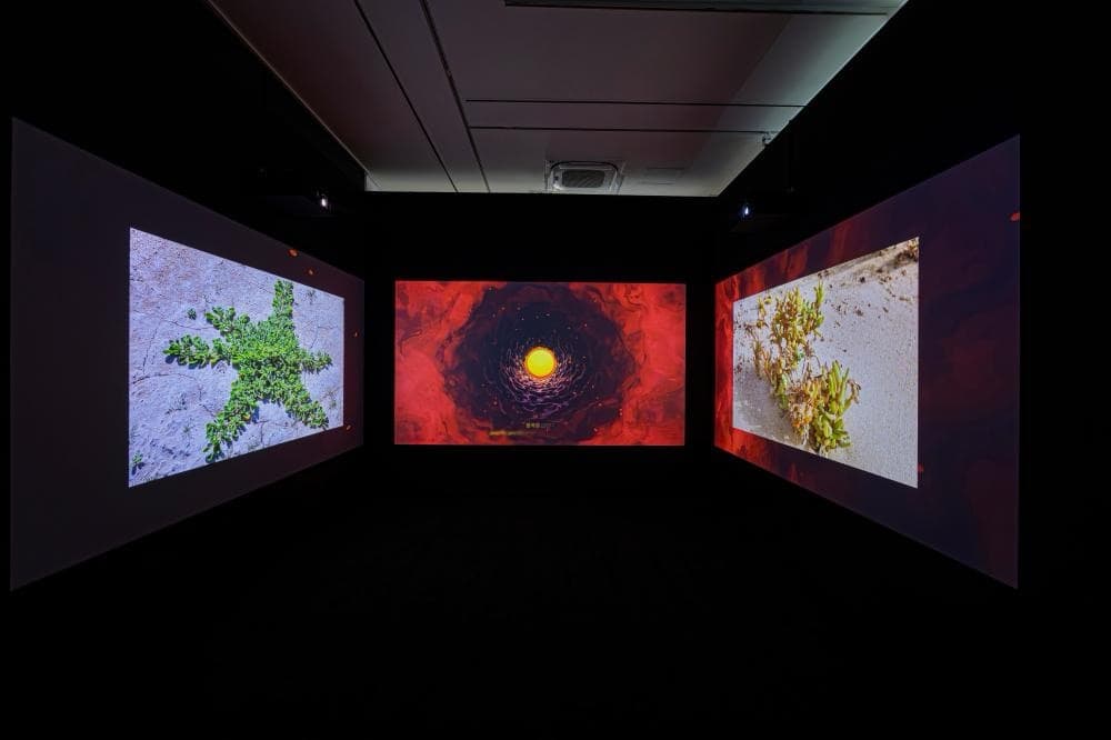 〈근접한 세계〉 - 이미지 2