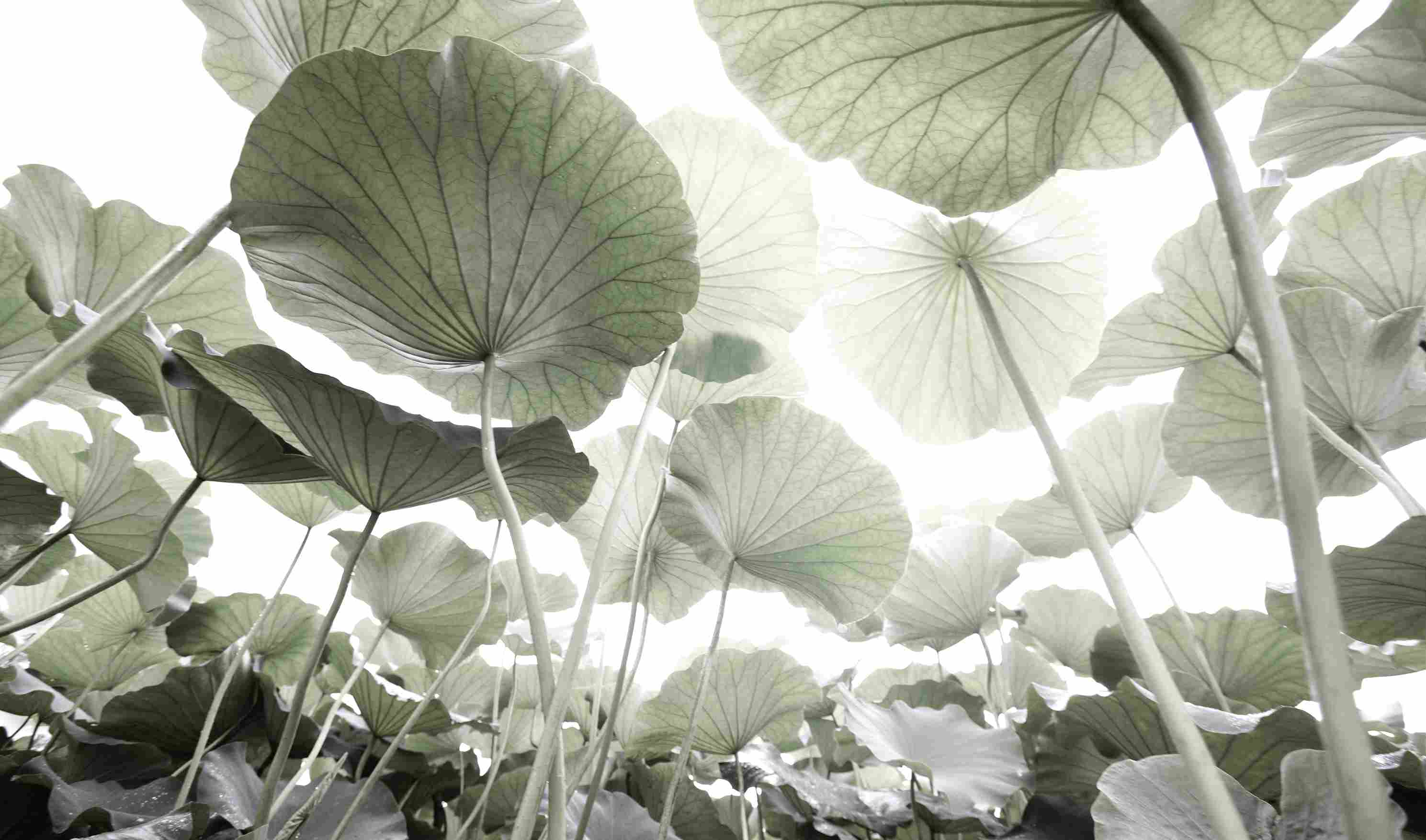 이길이구갤러리  〈Memory, Formed Ⅱ | 기억의 형상 Ⅱ〉 - 이미지 5