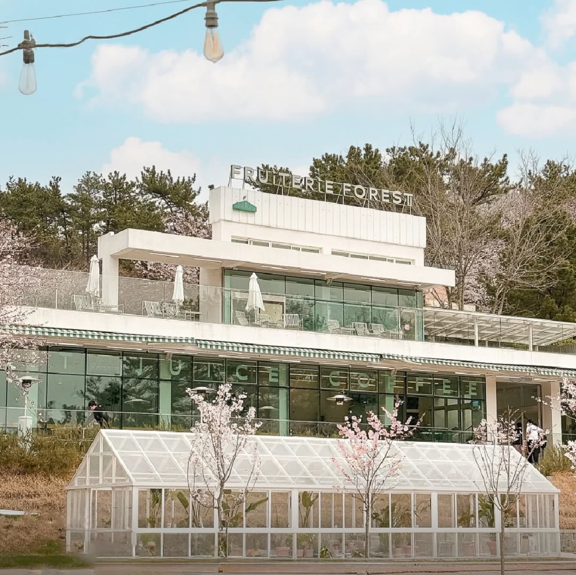 2025 부산디자인스팟 : 프루터리포레스트 - 이미지 1