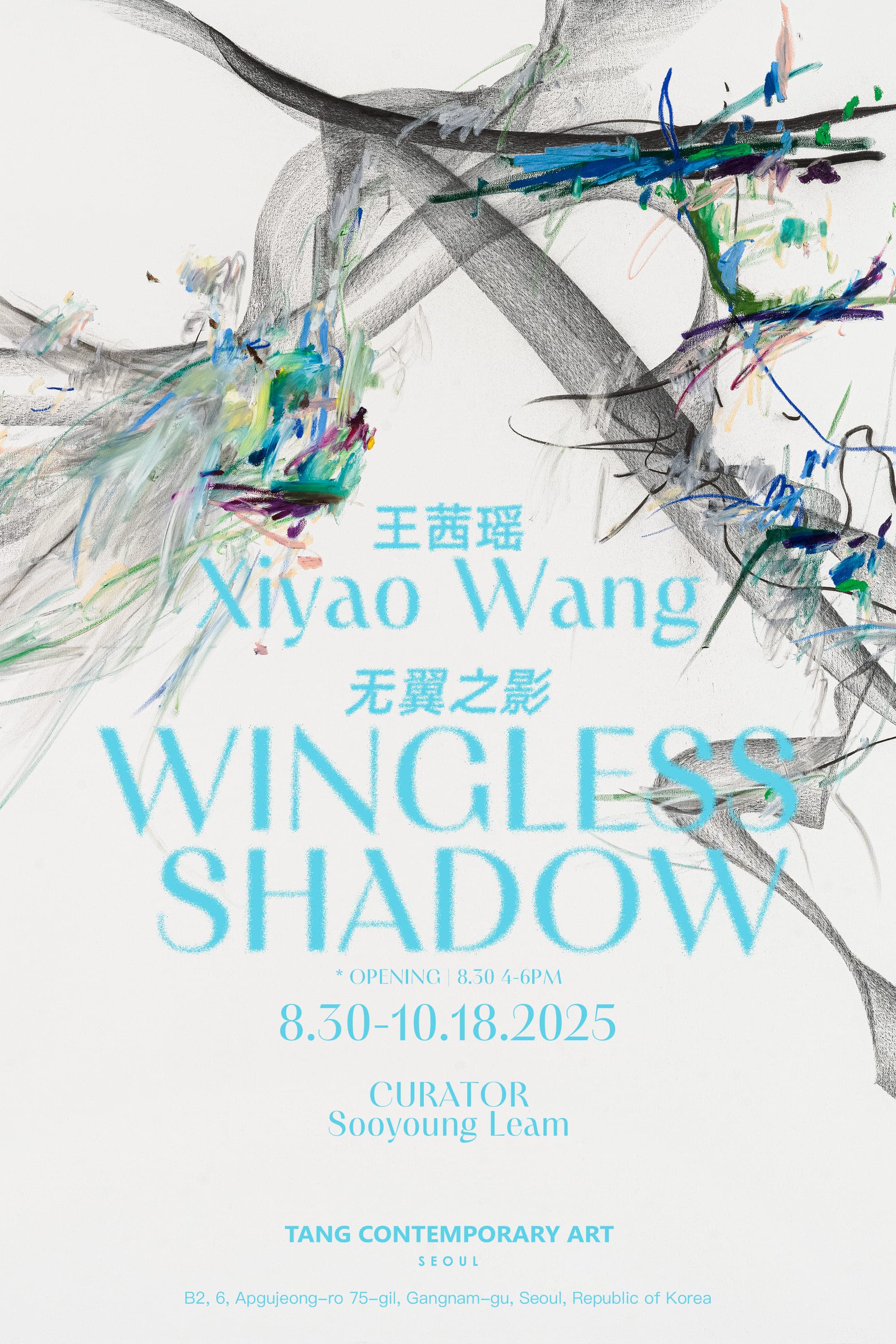 탕 컨템포러리 아트 〈날개 없는 그림자〉 - 이미지 1