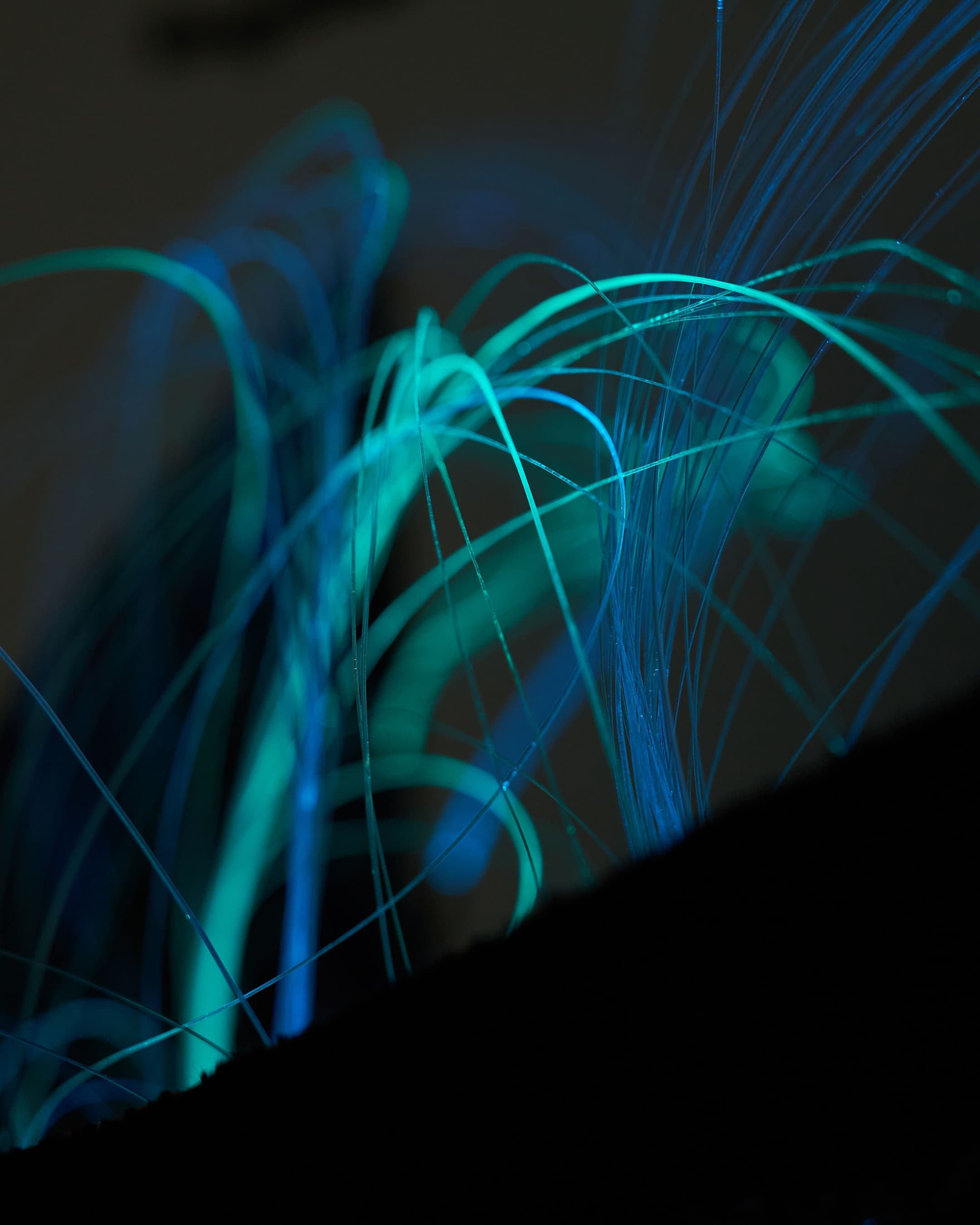 갤러리LVS 〈시간의 소리, 감각의 파동〉 - 이미지 1