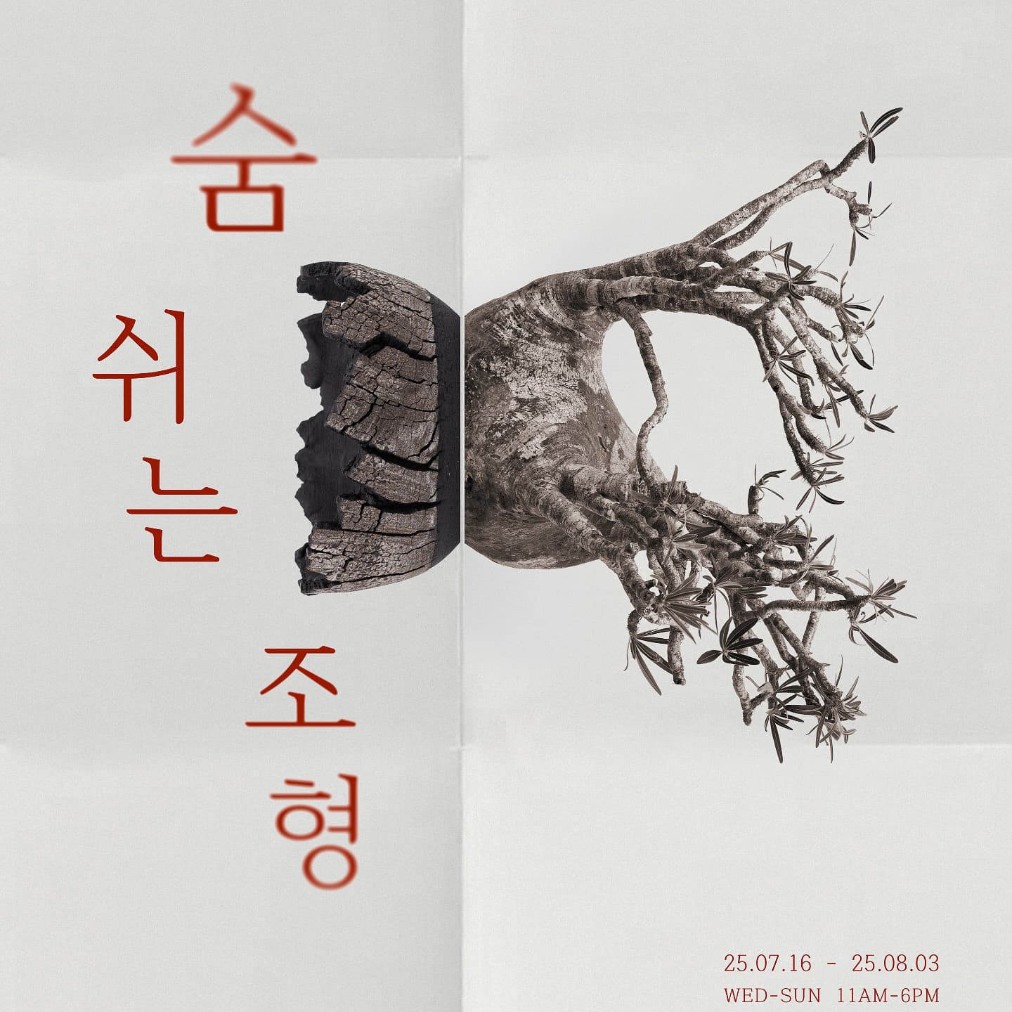 〈숨 쉬는 조형〉 팝업 - 이미지 1