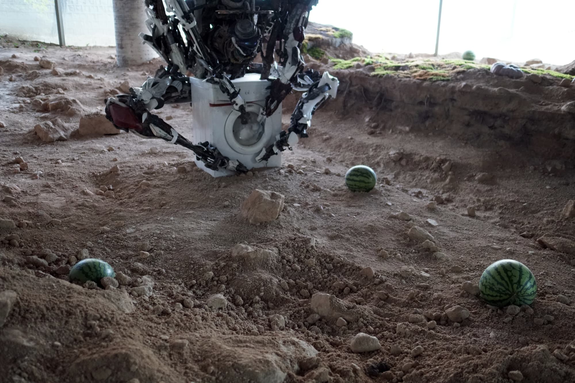 아드리안 비야르 로하스: 적군의 언어 - 이미지 5