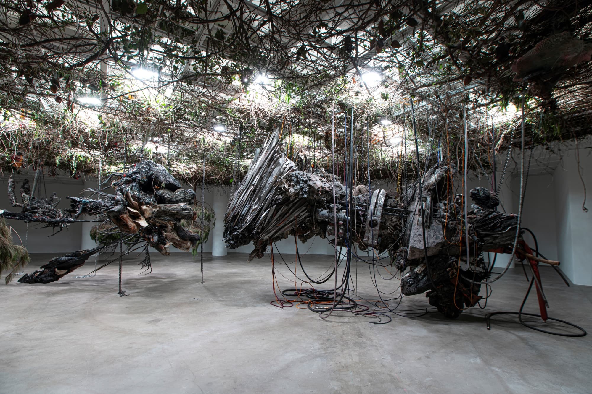 아드리안 비야르 로하스: 적군의 언어 - 이미지 4